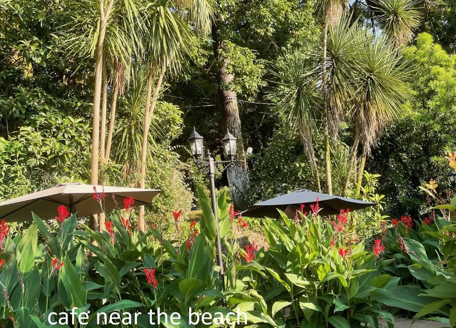 Apartment Near The Sea With Pool Batumi